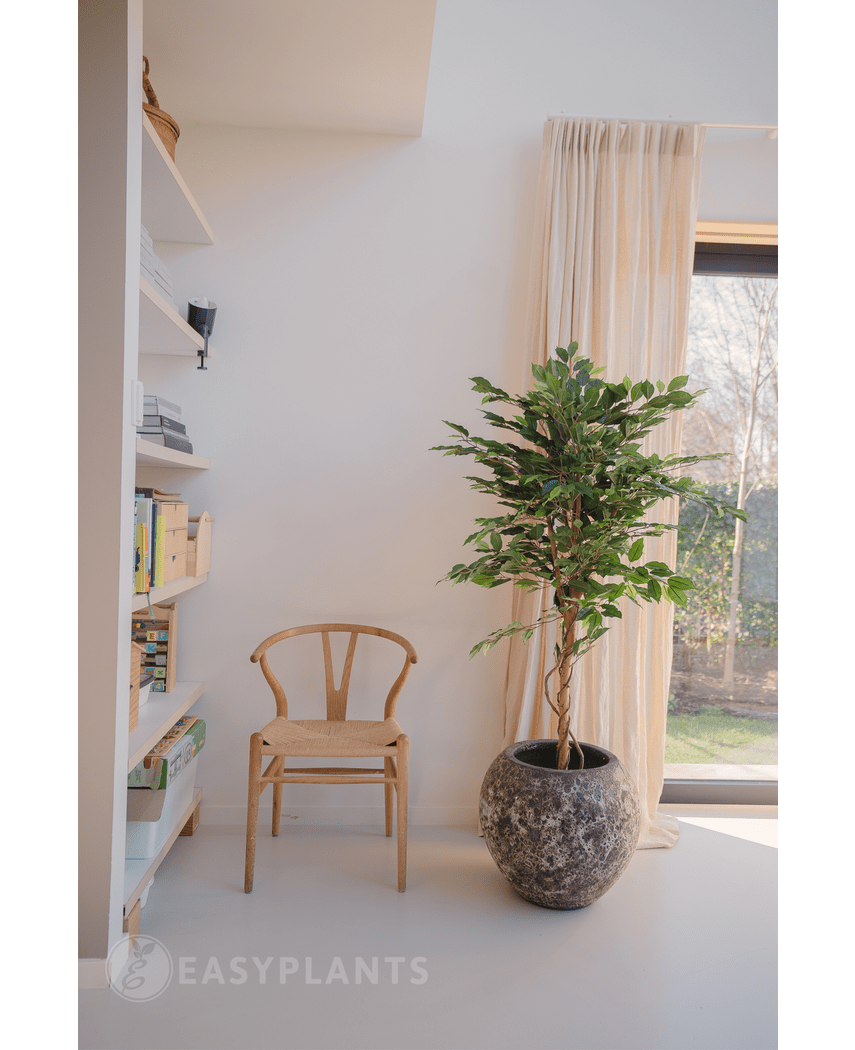 Kunstig plante Ficus Green 150 cm