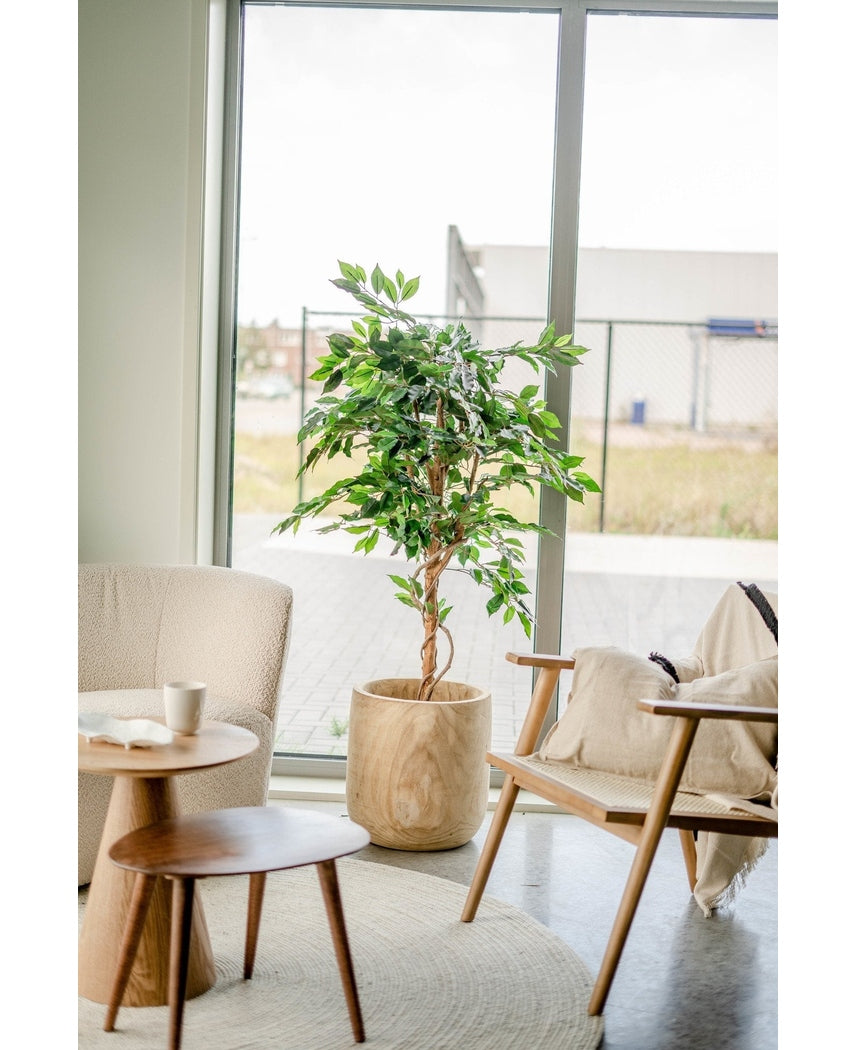 Kunstig plante Ficus Green 150 cm