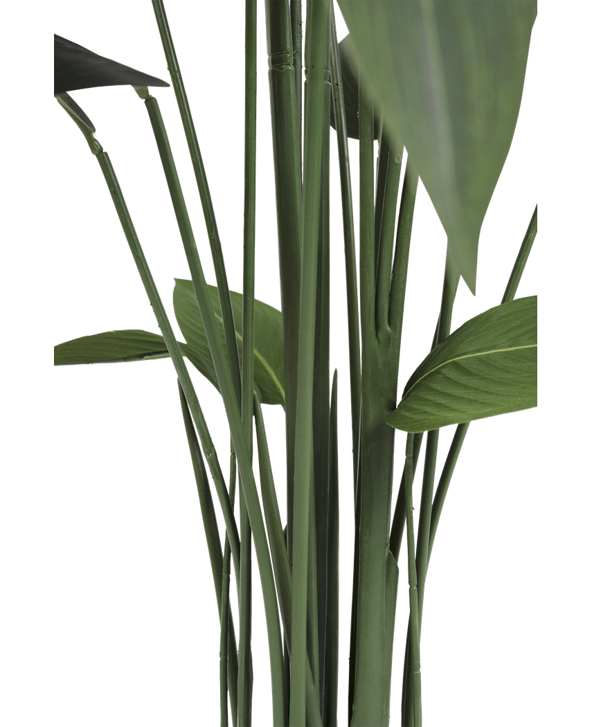 Kunstig plante Heliconia 170 cm
