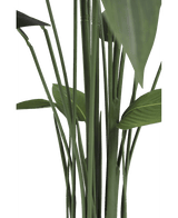 Kunstig plante Heliconia 170 cm