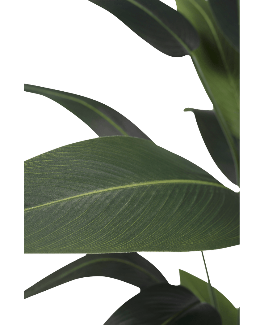 Kunstig plante Heliconia 210 cm