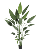 Kunstig plante Heliconia 210 cm