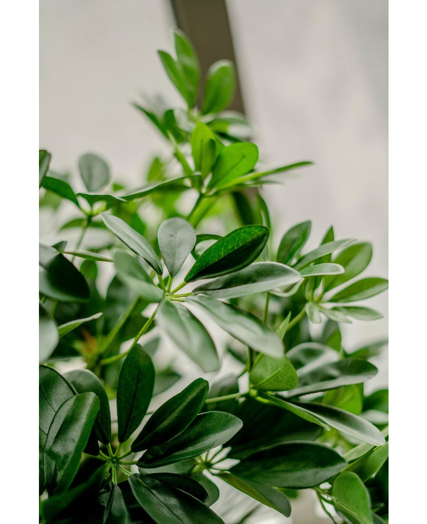 Kunstig plante Schefflera 120 cm.