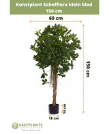 Kunstig plante Schefflera lille blad 150 cm