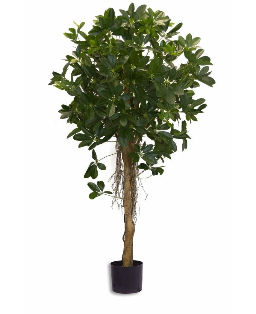 Kunstig plante Schefflera lille blad 150 cm