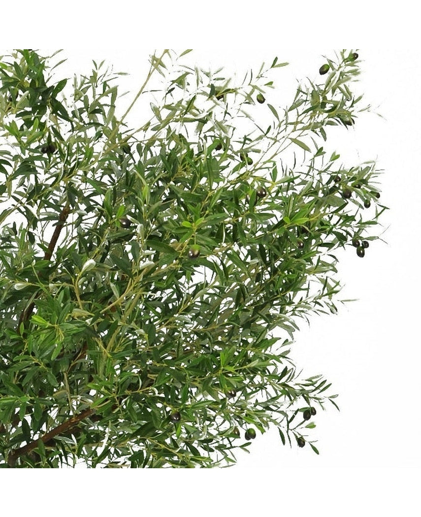 Kunstigt oliventræ 270 cm med oliven