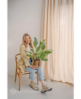En smilende kvinde sidder på en træstol med kunstplanten Calathea Makoyana 60 cm i en designkrukke. Hun er iført en beige blazer, lyse jeans og sneakers. Lysgardiner i baggrunden forstærker rummets minimale og lette udseende.