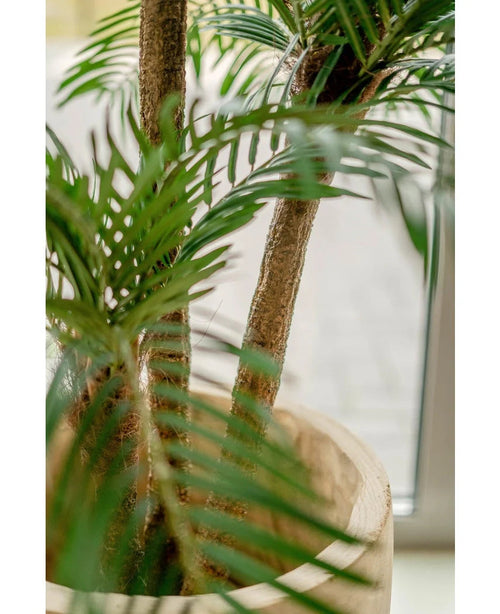 Nærbillede af en kunstig Cycas Classic Palm 135 cm med slanke stammer og frodige grønne blade, vist i en elegant dekorativ potte nær et vindue med blødt naturligt lys.