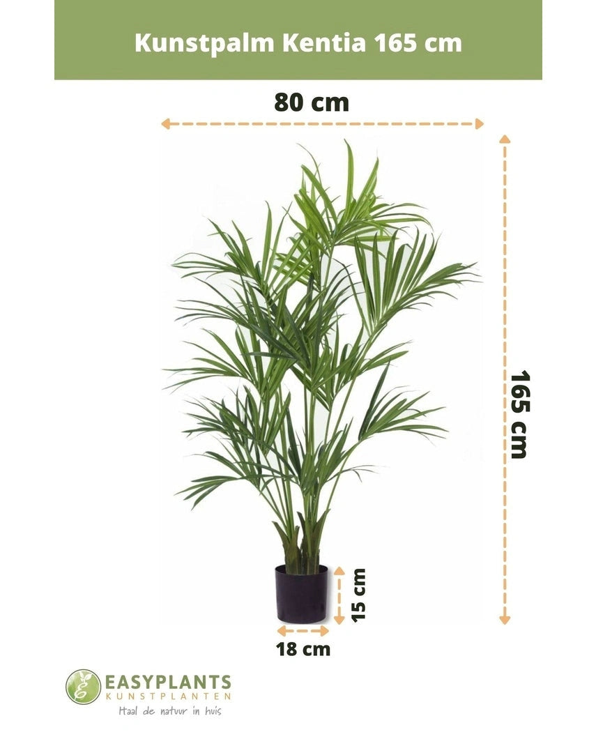 De Kunstpalm Kentia 165 cm is een kunstpalm van 165 cm hoog en 80 cm breed, geplaatst in een zwarte pot van 18x15 cm. Het Easyplants logo is zichtbaar aan de onderkant van de afbeelding.