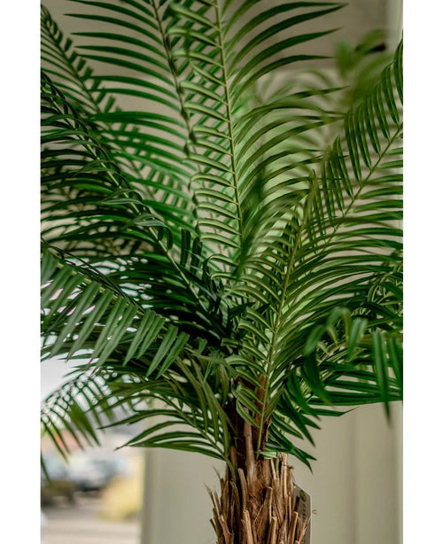 Nærbillede af Artificial Palm Phoenix De Luxe 210 cm, med lange, smalle grønne blade og en brun stamme med tekstur, mod en blødt sløret baggrund.