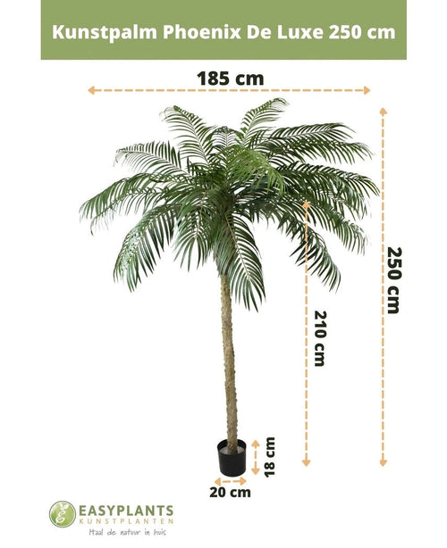 Kunstpalme Phoenix De Luxe 250 cm: Kunstpalme med lange fjeragtige blade i sort potte. Højde: 250 cm, stamme: 210 cm, bladspænd: 185 cm, pottemål: 18x20 cm (H x Ø). Tekst og dimensioner overlapper hinanden.