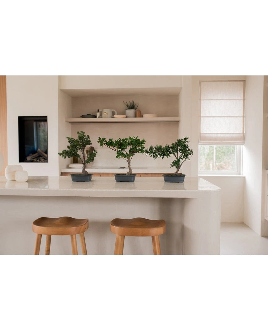 En kunstig Bonsai Podocarpus plante 40 cm i en rektangulær potte står på en hvid køkkenø med to træskamler, hylder med service og planter bagved og sollys skinner gennem et vindue med en beige skygge.