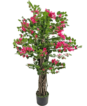 Den kunstige bougainvillea 120 cm har snoede brune stængler, frodige grønne blade og livlige lyserøde blomster, perfekt til at tilføje farve til ethvert rum.