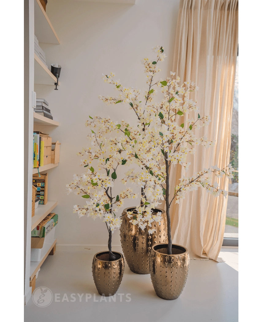 Een Kunstplant Bougainvillea 120 cm groot met witte bloesems in een goudkleurige pot met textuur staat bij een raam met transparante gordijnen, naast boekenplanken vol boeken en decor in een lichte, moderne kamer.