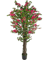 Den kunstige bougainvillea 180 cm er en høj kunstig plante med snoede brune stængler, levende grønne blade og bundter af lyserøde blomster i en potte.