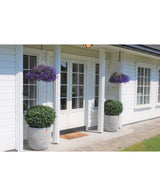 Et hvidt hus med dobbelte glasdøre, to kunstige buksbom på stilk romersk stil UV 85cm på hver side af indgangen og to hængende kurve med lilla blomster over hver busk. Der er en dørmåtte foran dørene.