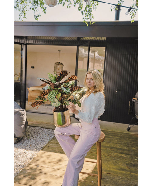 En blond kvinde i hvid bluse og lyse lilla bukser sidder udenfor på en skammel med den kunstige Calathea Makoyana UV 75 cm rød potteplante, på et træterrasse foran et moderne hus med glasdøre.
