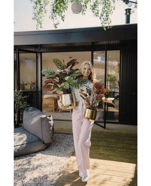 En kvinde står på et trædæk foran et moderne hus og smiler og holder to kunstige Calathea Makoyana UV 75 cm røde potteplanter. Hun er iført lyserøde bukser og en hvid top. Udeservering og grønt i baggrunden.