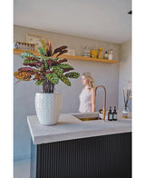 Den kunstige plante Calathea Makoyana UV 75 cm rød, med levende grønne og lilla blade, står på en moderne køkkenø med guldhane; en kvinde i en lys kjole er sløret i baggrunden nær en beige væg og dekorativ hylde.