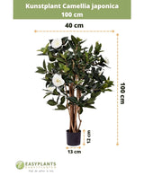 Kunstig plante Camellia japonica 100 cm høj og 40 cm bred, leveres i sort potte på 13x12 cm. Den japanske rose har grønne blade og hvide kunstige blomster, afbildet med dimensioner.