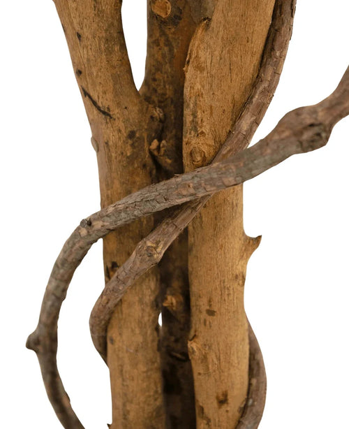 Et nærbillede af kunstplanten Ficus Grøn/hvid 90 cm viser de brune grene med en ranke, der snoer sig omkring dem, mod en hvid baggrund.