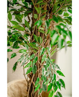 Nærbillede af den kunstige plante Ficus Liana 180 cm, med tynde brune stammer og mange blanke grønne blade, placeret indendørs nær en lys væg - dette naturtro kunstige træ bringer charme til ethvert rum.