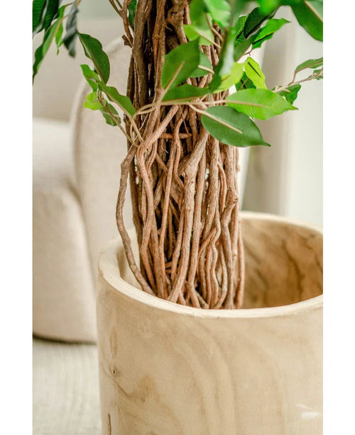 Nærbillede af den flettede brune stamme og grønne blade af Artificial Plant Ficus Tropical Liana 180 cm i en glat, lys trækasse. En beige polstret stol falmer ind i baggrunden og fremhæver de naturtro detaljer og livlige grønne områder af denne store kunstige plante.