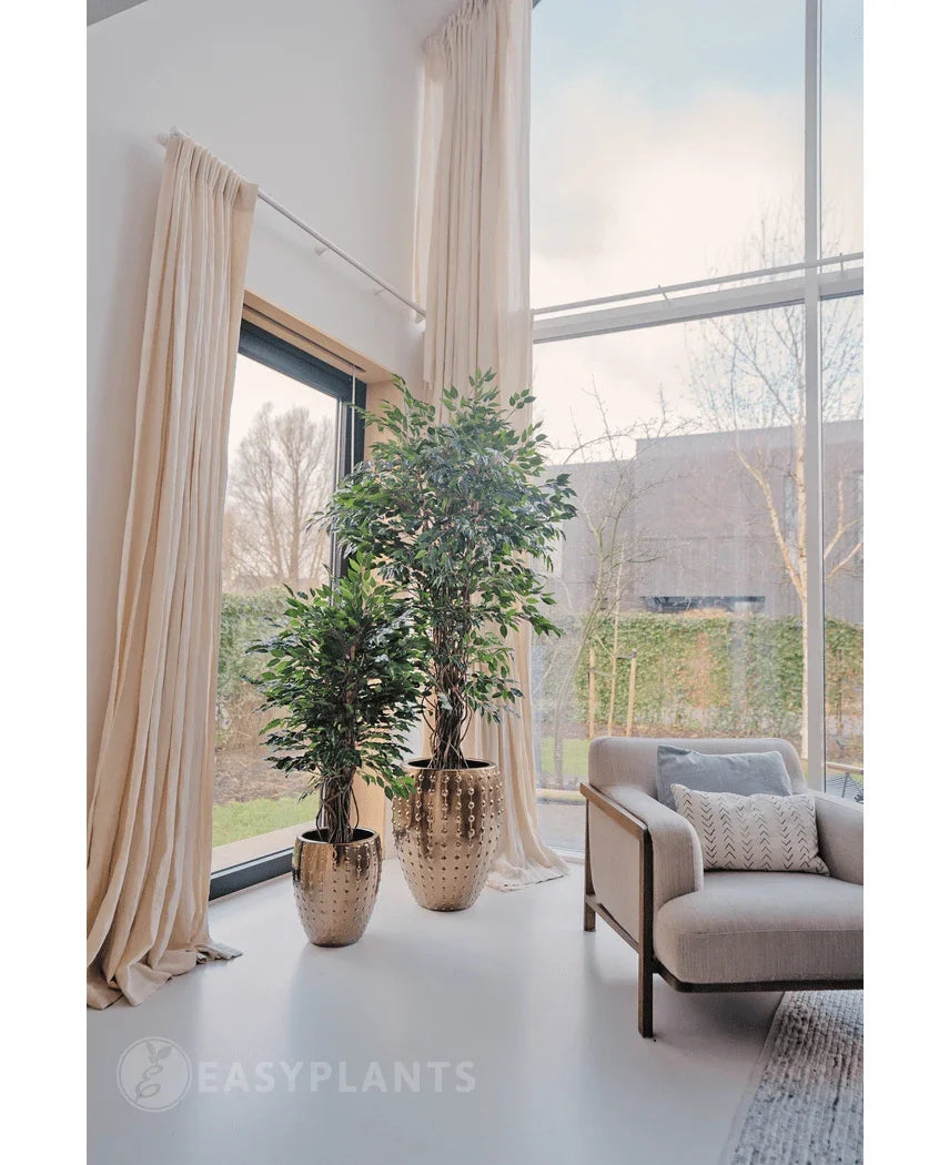 Den kunstige plante Ficus Tropical Liana 150 cm står nær gulv-til-loft vinduer med beige gardiner i en lys moderne stue, ideel til stilfuld kontorindretning. En lys lænestol sidder i nærheden, med træer og hække synlige udenfor.