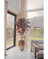 En Kunstig Ficus grøn/rød plante 180 cm brandhæmmende med mørkegrønne og røde blade står nær et stort vindue med cremefarvede gardiner i en lys, moderne stue ved siden af en beige sofa med mønstrede hynder. Træer og et hus er synlige udenfor.