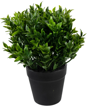 The Artificial Plant Green 20 cm i potte er en frodig grøn kunstig plante med små spidse blade i en simpel sort potte, perfekt til at tilføje levende grønt til dit rum.