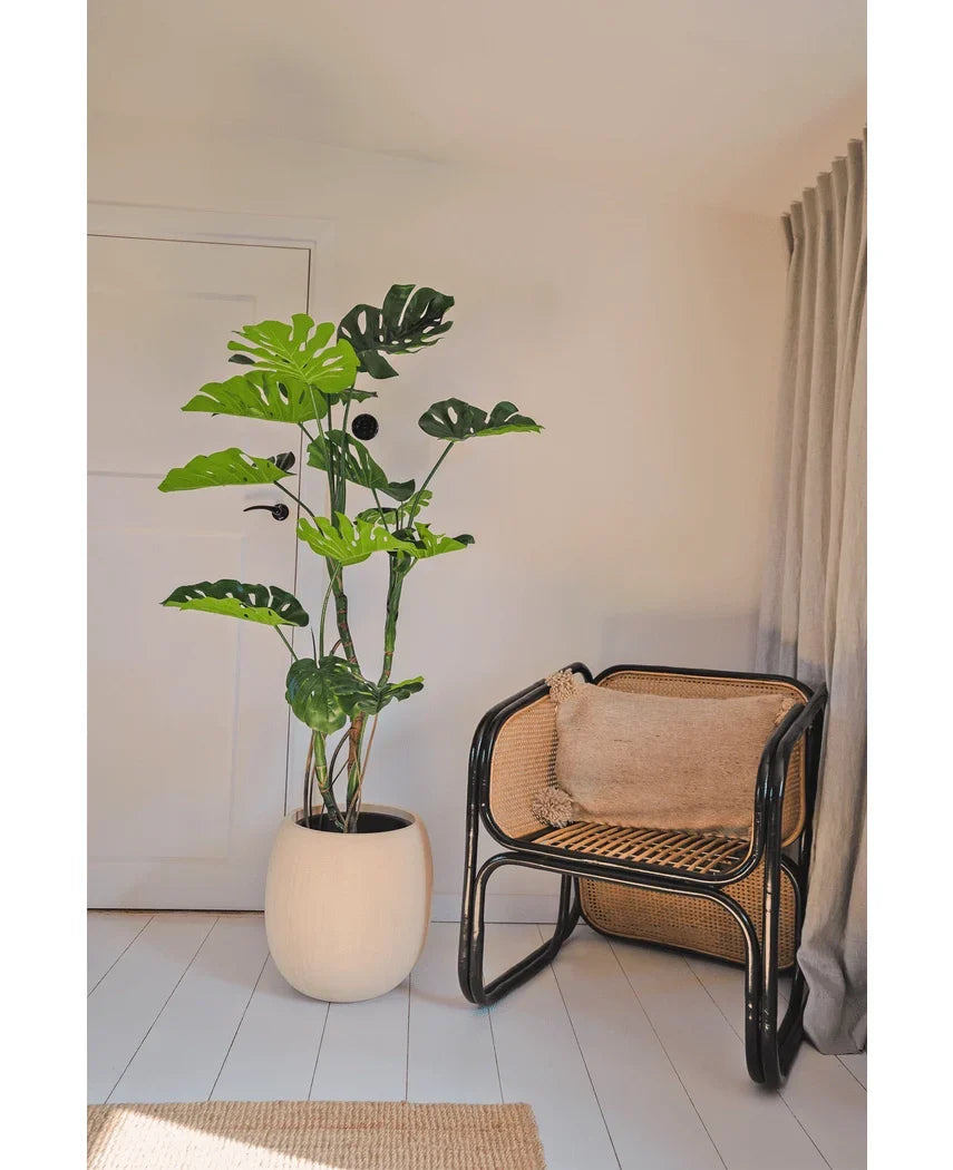 En Kunstig Plante Monstera 150 cm står ved siden af en rattanstol med en brun hynde i et lyst, minimalistisk rum med hvide vægge, lyse trægulve og beige gardiner.