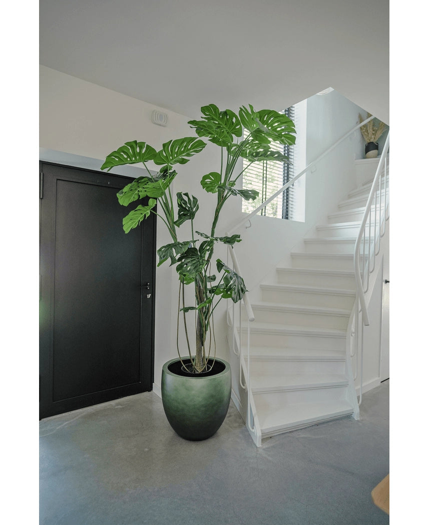 Een Kunstplant Monstera 210 cm staat in een pot op een grijze vloer naast een witte trap met een gebogen leuning in een modern, minimalistisch interieur. Links is een zwarte deur zichtbaar.