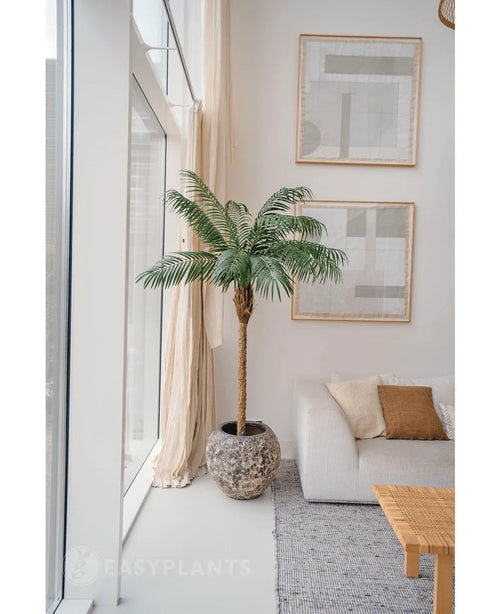 Kunstplanten Phoenix Palm De Luxe 180 cm i en struktureret potte er placeret ved siden af store vinduer i en lys stue med neutral indretning, med en hvid sofa, beige hynder, et træbord og abstrakt kunst på væggen.