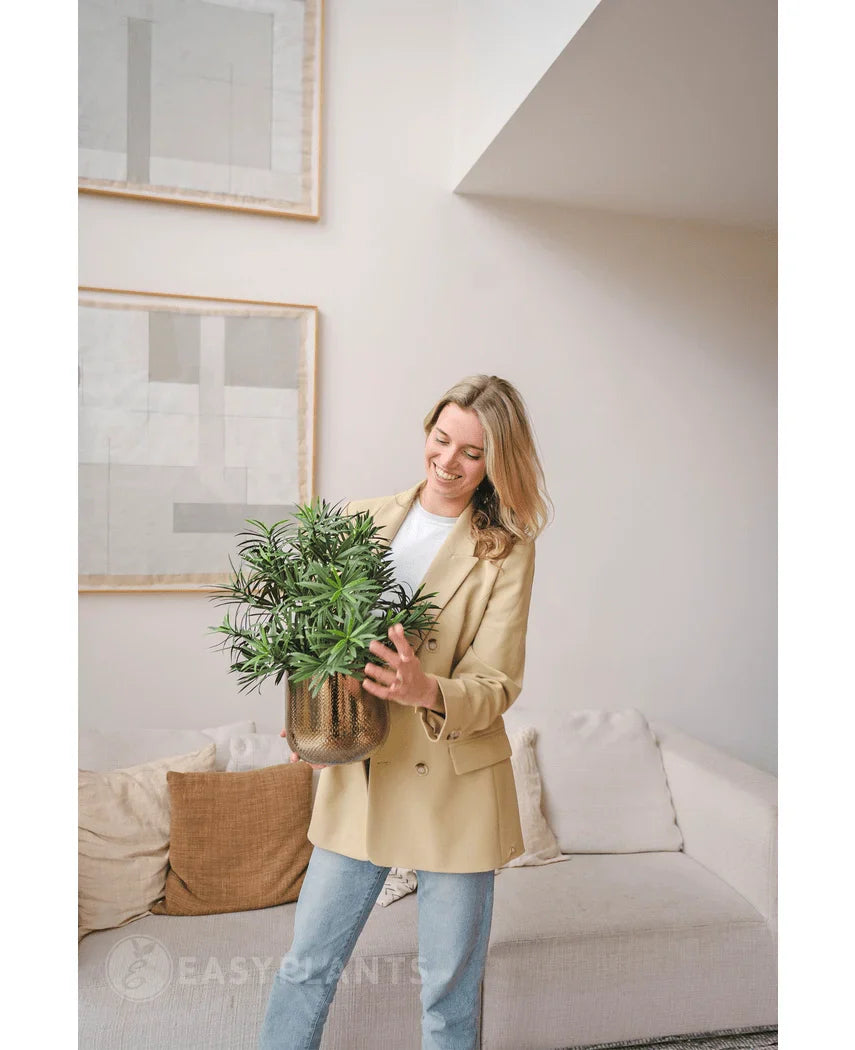 En kvinde i en beige blazer og jeans står i en moderne stue og smiler, mens hun holder en kunstig plante Podocarpus 47 cm. Abstrakt kunst dekorerer den lyse væg over en cremefarvet sofa med brune puder.