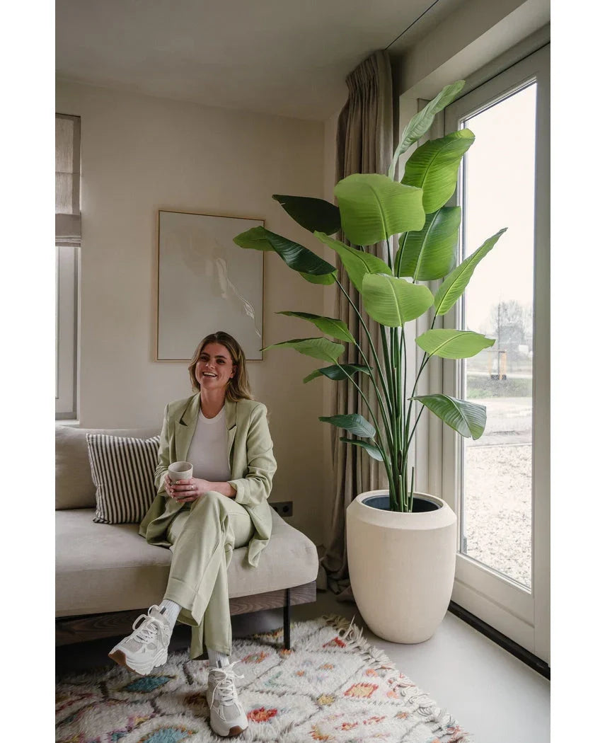 Een vrouw in een lichtgroen pak zit op een beige bank, houdt een kopje vast en glimlacht. Naast haar bij het raam staat een Kunstplant Strelitzia 180 cm real touch, badend in zacht natuurlijk licht in de gezellige, moderne woonkamer.