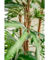 Nærbillede af Lady Artificial Palm 210 cm, med de grønne, lange smalle blade og luftige brune stængler mod en blød vag lys baggrund.