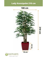 Lady Artificial Palm 210 cm: Denne imponerende realistiske kunstige Rhapis Palm måler 210 cm høj og 100 cm bred i en slående rød potte (14 cm høj, 18 cm bred) - et perfekt valg til stilfulde indendørs rum.