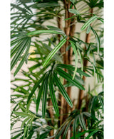 Lady kunstig palme 210 cm