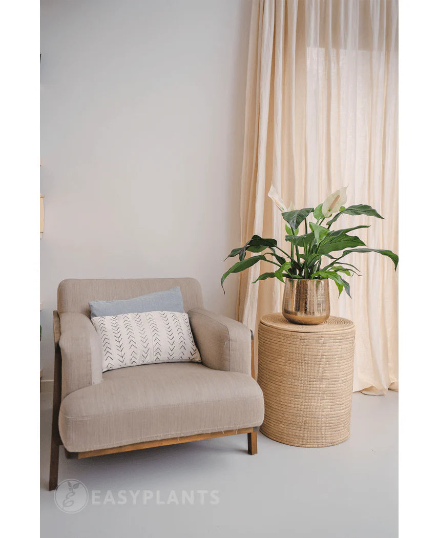 Een beige fauteuil met een decoratief kussen staat naast een ronde rieten bijzettafel met daarop de Kunstplant Spathiphyllum wit 85 cm. Lichte gordijnen op de achtergrond maken dit rustige, moderne interieur compleet.