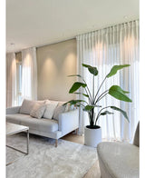 En moderne stue med lysegrå sofa, hvide hynder, kunstplanten Strelitzia Real Touch færdiglavet i en beige potte 180 cm, gennemsigtige hvide gardiner, et beige tæppe og blødt naturligt lys, der kommer ind gennem vinduerne.