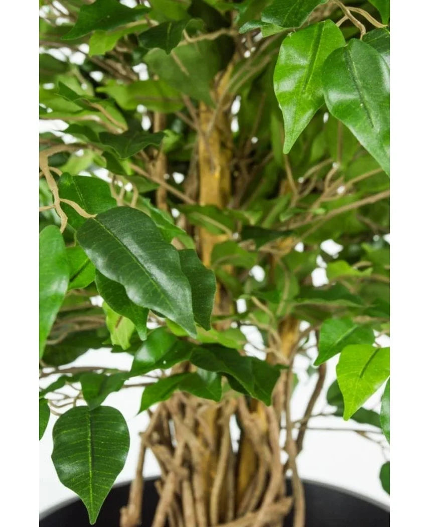 Nærbillede af den flettede stilk og grønne blade af den kunstige plante Ficus Liana 90 cm kontorplante mod lys baggrund.