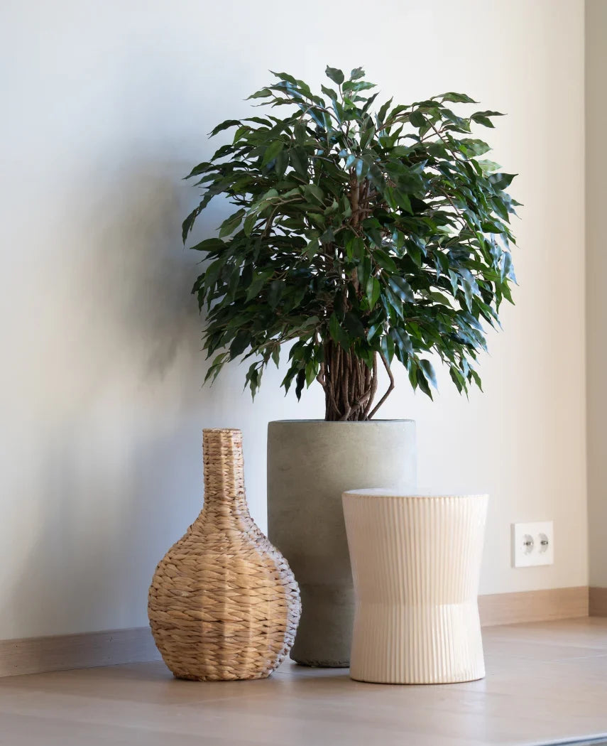 En kunstig plante Ficus Liana 90 cm står i en grå plantekasse ved siden af en vævet vase og en let ribbet skammel, alt sammen på et trægulv mod en almindelig hvid væg.