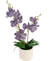 Den kunstige Ascocenda 50 cm lilla har to stængler af lilla, plettede orkidéblomster med grønne blade i en hvid potte, mod en almindelig hvid baggrund.