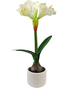 Den kunstige blomst Amaryllis Real Touch hvid 48 cm har en naturtro hvid amaryllisblomst med grønne blade og synlig løg i en lille hvid potte, perfekt til at tilføje elegance til ethvert rum.