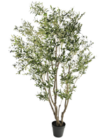 Det kunstige oliventræ 260 cm har flere slanke grene og tætte, smalle grønne blade. På en hvid baggrund bringer denne letplejede kunstige plante ubesværet grønt ind i ethvert rum.