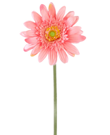 En Artificial Flower Gerbera 55 cm pink har en enkelt pink gerbera med et gulgrønt hjerte på en lang grøn stilk, mod en almindelig hvid baggrund.