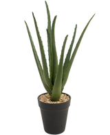 Kunstplanten Aloe Vera 33 cm har lange, tjavsede grønne blade, der vokser opad, i små sten i en slank sort potte, mod en hvid baggrund.