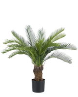 Artificial Cycas Palm 80 cm har en lang, buet grøn cycad og en tyk, struktureret stamme. Planten står i en simpel sort potte mod en almindelig hvid baggrund.