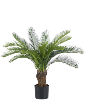 Artificial Cycas Palm 80 cm har en lang, buet grøn cycad og en tyk, struktureret stamme. Planten står i en simpel sort potte mod en almindelig hvid baggrund.
