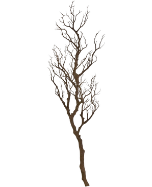 Art Decorative Branch 118 cm er en høj, bladløs dekorativ gren med mange tynde, snoede stængler, der rejser sig opad, vist mod en almindelig hvid baggrund.